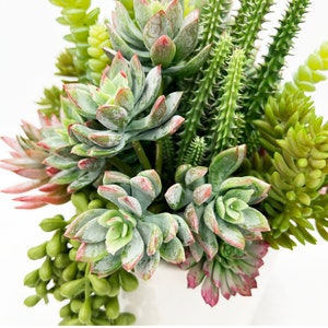 Wunderschönes künstliches Sukkulenten Arrangement