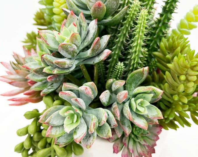 Beautiful faux succulent arrangement