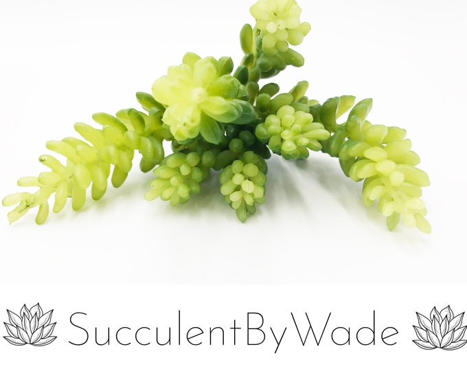 Faux Succulent Pick - Sedum