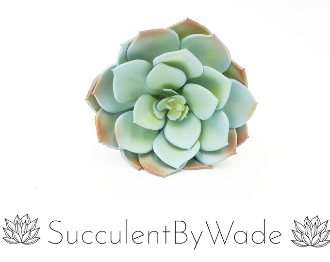 Faux Succulent Pick - Echeveria