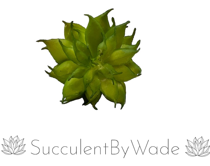 Faux Succulent Pick - Echeveria