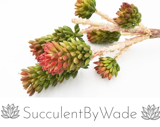 Faux Succulent Pick - Joshua