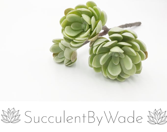 Faux Succulent Pick - Hen and Chick