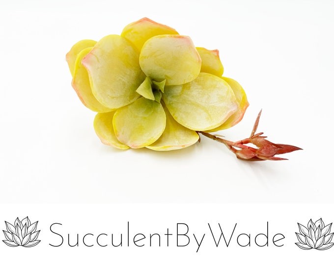 Faux Succulent Pick - Echeveria