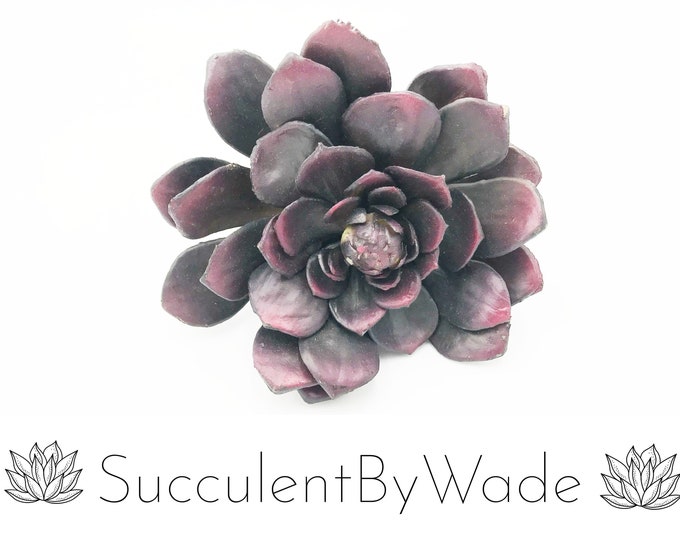 Faux Succulent Pick - Echeveria