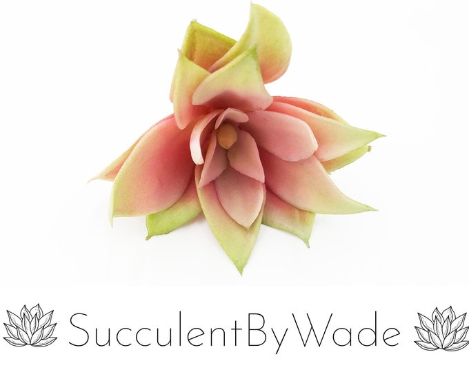 Faux Succulent Pick - Echeveria