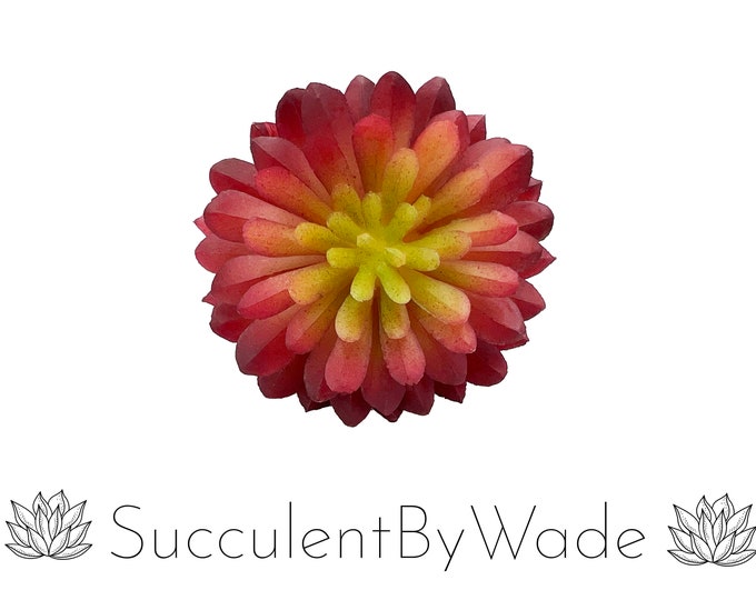 Faux Succulent Pick - Echeveria