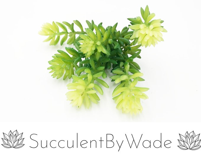 Faux Succulent Pick - Sedum