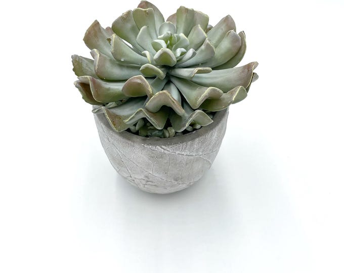 Beautiful faux succulent arrangement