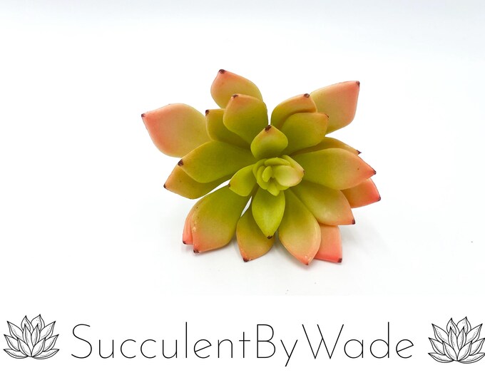 Faux Succulent Pick - Echeveria