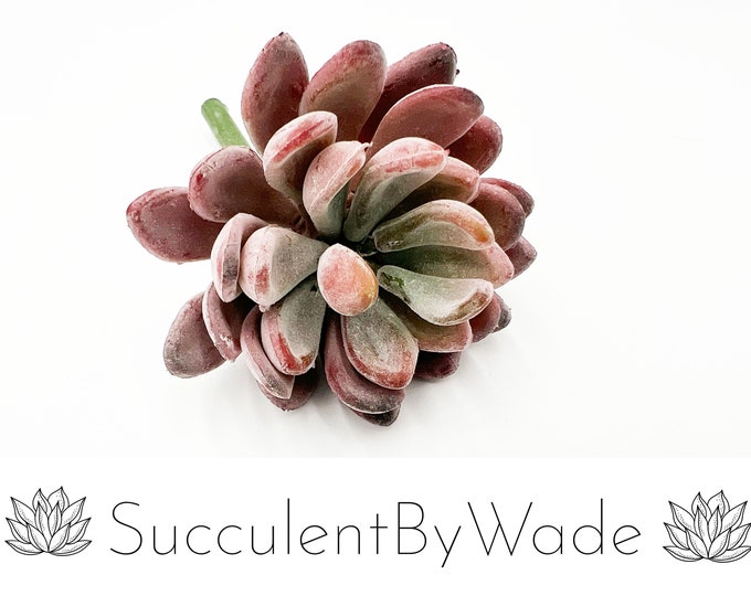 Faux Succulent Pick - Echeveria