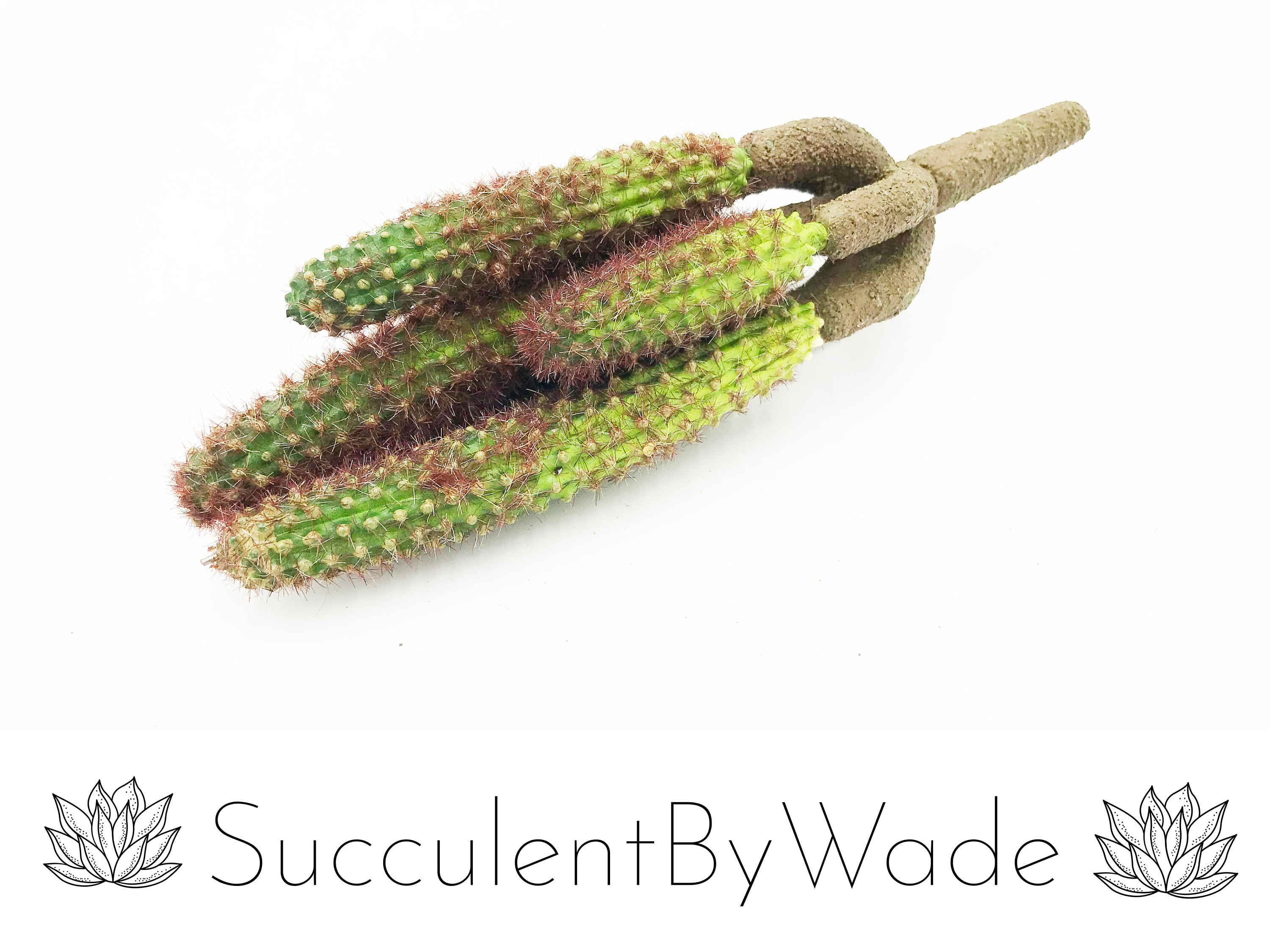 Faux Cactus Pick - Finger Cactus