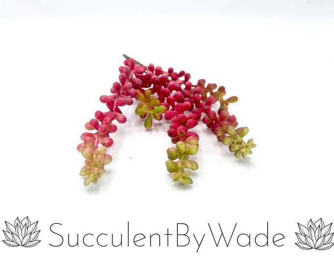 Faux Succulent Pick - String of Pearls