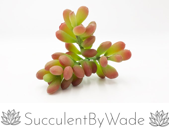 Faux Succulent Pick - Sedum