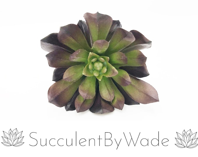 Faux Succulent Pick - Echeveria