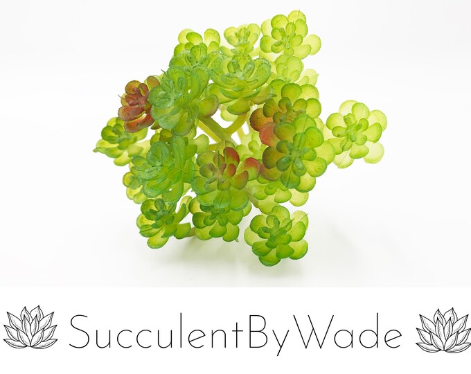 Faux Succulent Pick - Sedum