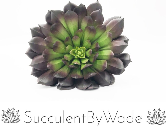 Faux Succulent Pick - Echeveria