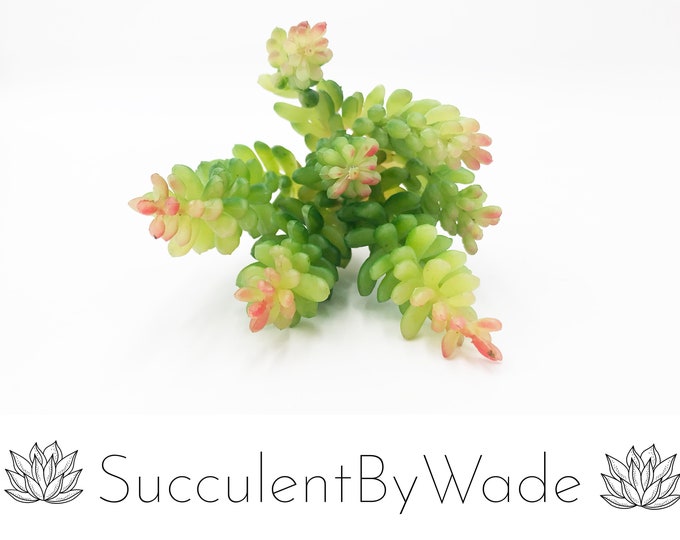 Faux Succulent Pick - Sedum