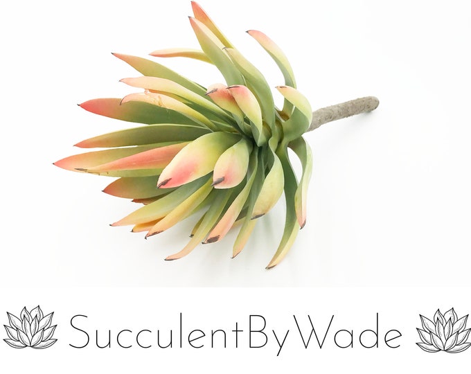 Faux Succulent Pick - Yucca