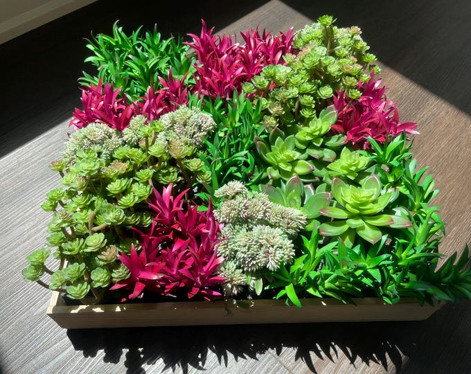 Faux Succulent Pick - Wall Floral Arrangement