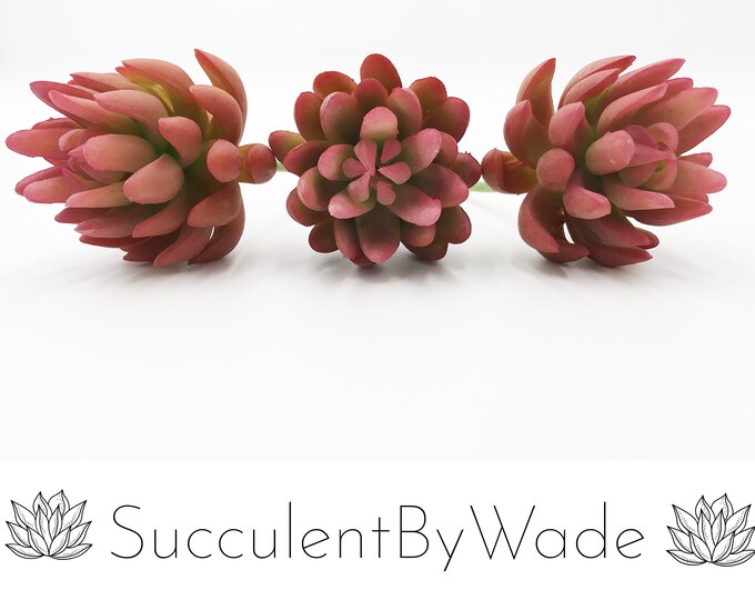 Faux Succulent Pick - Senecio