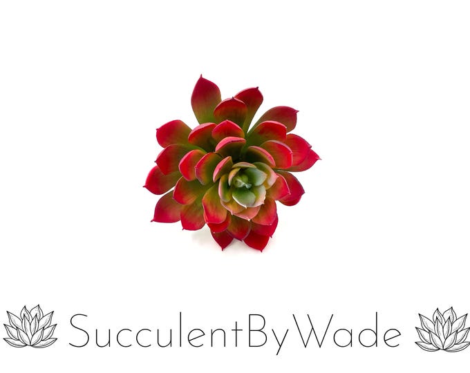 Faux Succulent Pick - Echeveria
