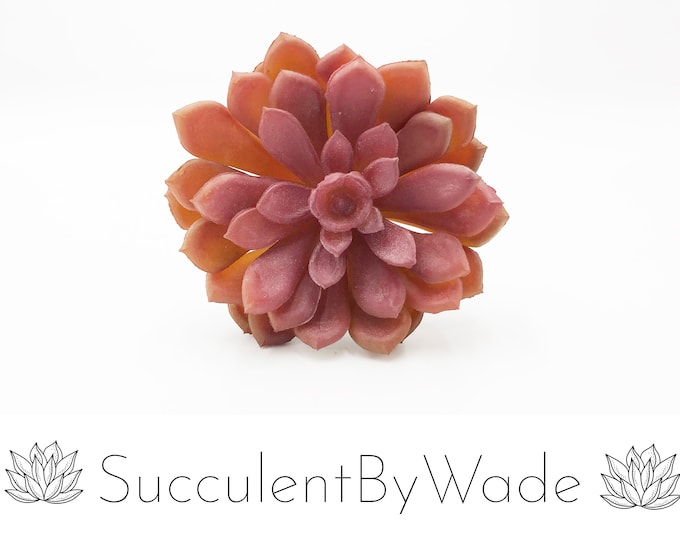 Faux Succulent Pick - Echeveria