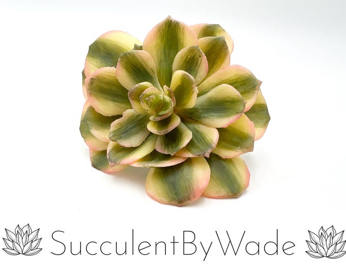 Faux Succulent Pick - Echeveria - Naturally Inspired Series