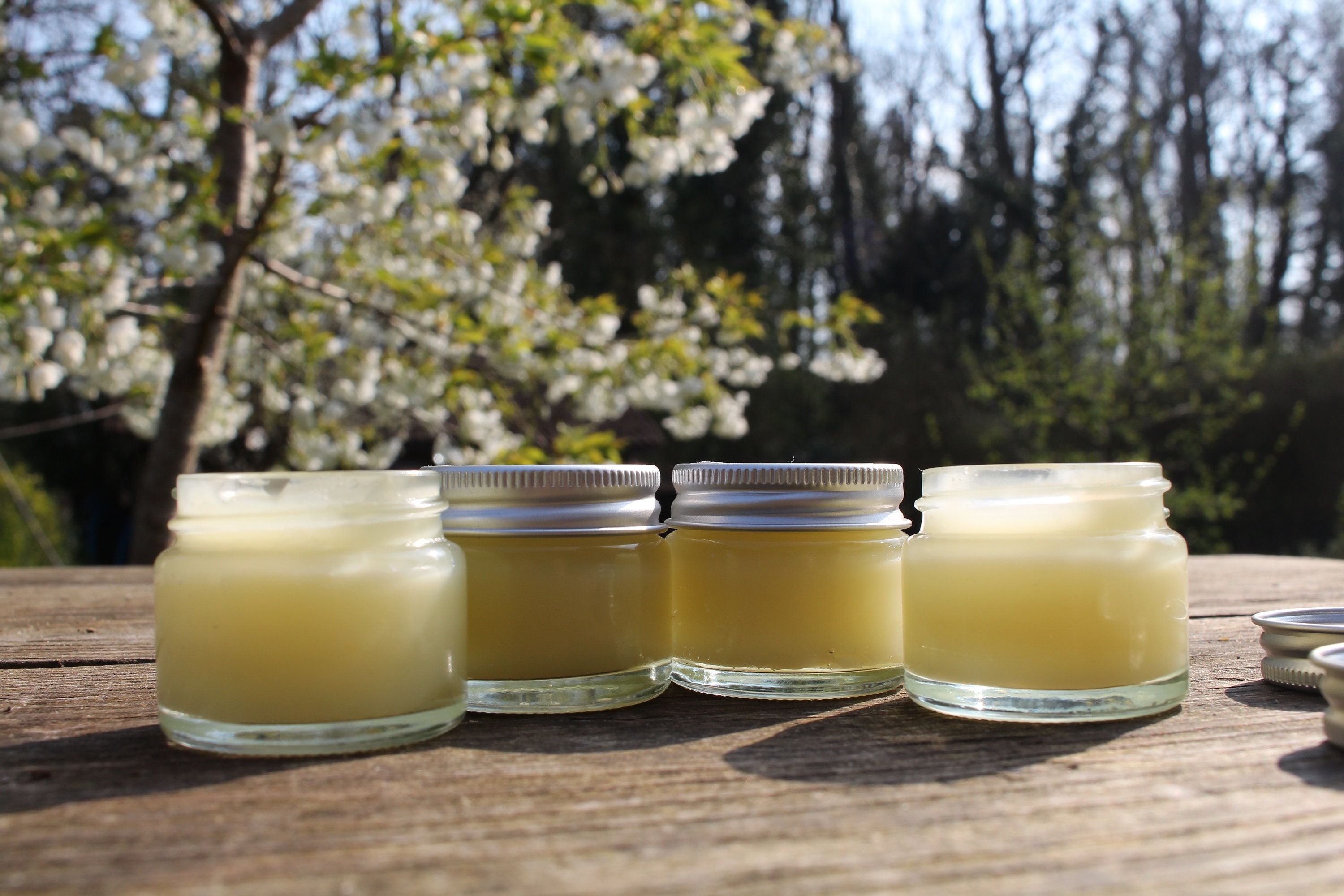 Fat wax/essential oil balm 15ml Etsy