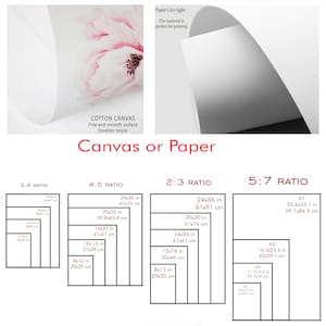 May include: A diagram showing different size ratios for canvas and paper prints. The ratios are 3:4, 4:5, 2:3, and 5:7. The measurements are shown in inches and centimeters. The text "Canvas or Paper" is at the top of the diagram.