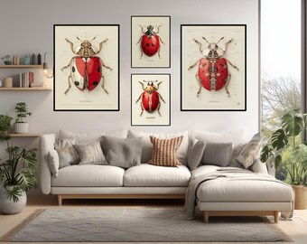 Ladybug Species Art Print | Insect Artwork Wall Decor | Ladybug ...