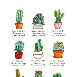 Stampa ad acquerello di cactus, arte murale, dipinto, cactus, piante grasse, el whitman art