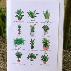 Blumentopf Pflanzen Grußkarte, Aquarell Druck, el whitman art