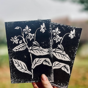 impression Linogravure format A6 fleurs de bourrache