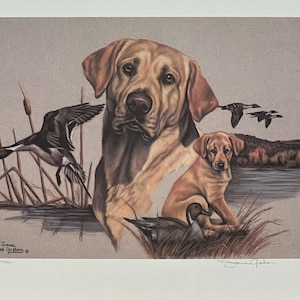 Może przedstawiać: Oprawiony wydruk przedstawiający Labradora Retrivera i szczeniaka, z kaczkami w locie i na wodzie. Grafika utrzymana jest w odcieniach brązu, beżu i szarości, z sielankową sceną plenerową.