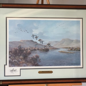 Robert Thomas Down to the River #032/500 (birds, wildlife, scenic, flying, river, duck, landscape)