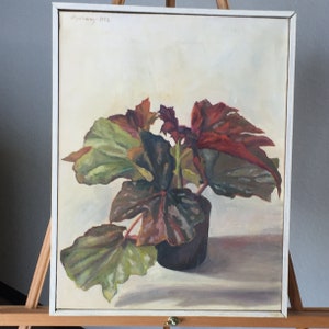 H Galloway Potted Plant original canvas