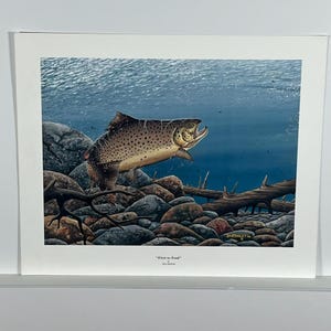 May include: A print of a brown trout leaping out of the water. The fish is detailed with spots and fins, set against a backdrop of rocks, submerged logs, and a blue-green underwater scene. The title "First to Feed" is at the bottom.