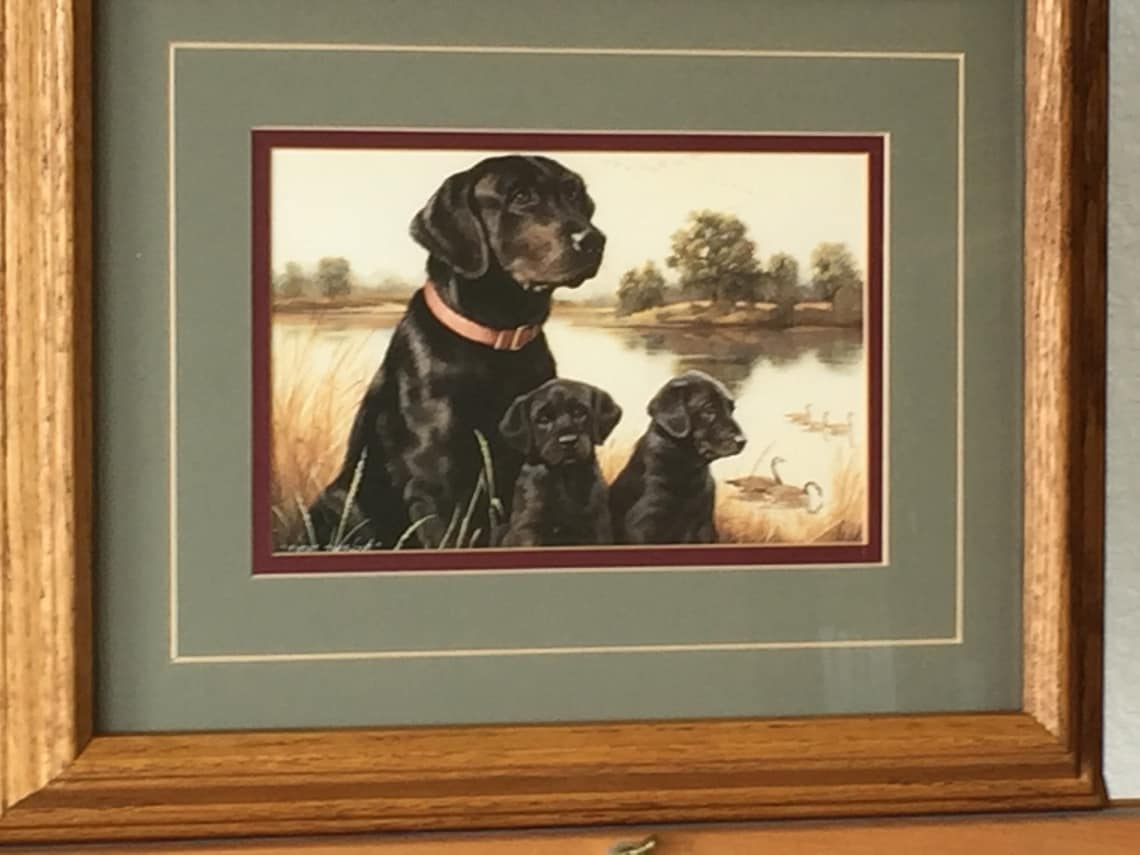 Jim Lamb first Time Out Print black Lab Dogs Etsy UK
