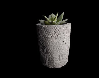 May include: A gray concrete planter with a textured surface holds a small green succulent plant.
