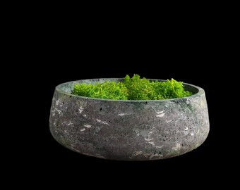 Handmade Concrete Succulent Bowl: Moss Green Rustic Decor