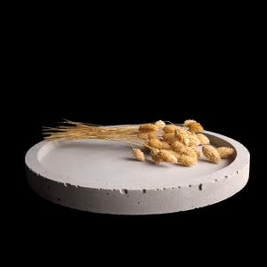 Handcrafted Round Concrete Tray: Minimalist Decorative Plate