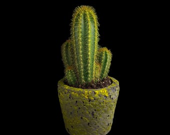 Concrete Planter – Yellow Accented Cement Pot, Small Succulent & Cactus Planter