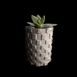 May include: A small, light gray concrete planter with a textured, square pattern. The cylindrical pot holds a green succulent plant. The background is solid black, highlighting the planter and plant.