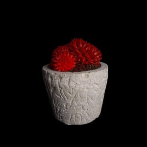 Concrete Planter Textured.Concrete Plant Pot.Gray Cement Pot
