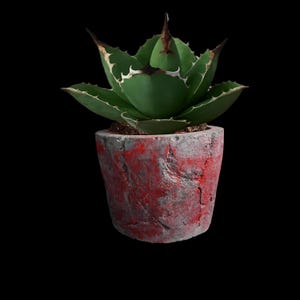 Concrete Planter with Red Gradient. Rustic Cracked Texture Pot.