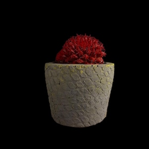 Concrete Planter – Small Cement Pot with Yellow Accents for Succulents & Cacti