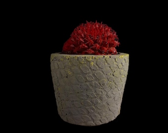Concrete Planter – Small Cement Pot with Yellow Accents for Succulents & Cacti