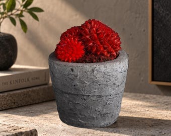 Brutalist Concrete Planter, Textured Cactus Pot, Raw Concrete Succulent Planter, Industrial Home Decor