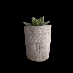 Rustic Concrete Planter with Textured Design – Minimalistic Charm for Succulents, Herbs, and Indoor Plants